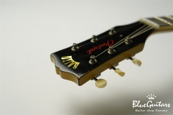 Portrait Line No.1 Special / TV Yellow #1 038