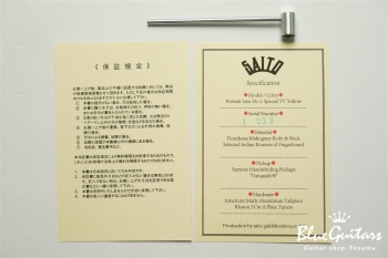 Portrait Line No.1 Special / TV Yellow #1 038