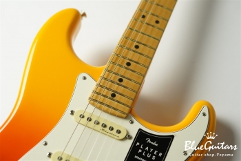 Player Plus Stratocaster - Tequila Sunrise