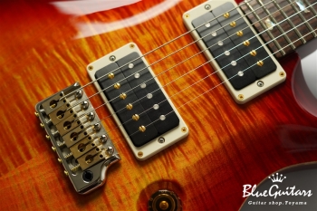 Custom 24 - Dark Cherry Sunburst