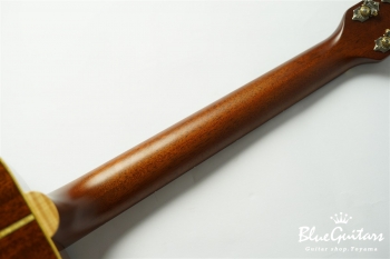 VG-03 Mahogany - Brown Sunburst