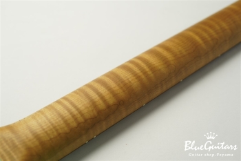 XSC-2 - Surf Green / Heavy Aged / Alder / R / Roasted Flame Maple Neck / MH #2038