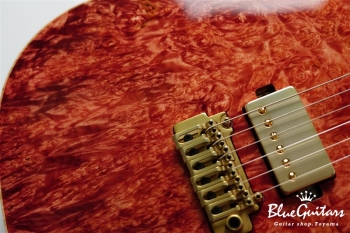 DS496BEM BM-EX/AT/ALD - Ruby