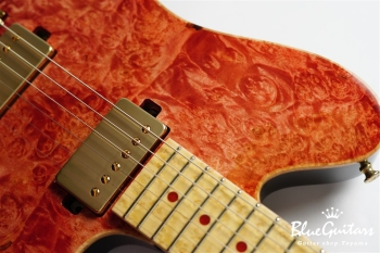 DS496BEM BM-EX/AT/ALD - Ruby