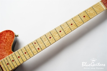 DS496BEM BM-EX/AT/ALD - Ruby