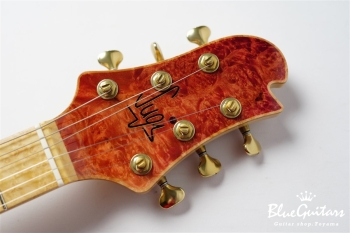 DS496BEM BM-EX/AT/ALD - Ruby