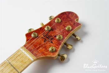 DS496BEM BM-EX/AT/ALD - Ruby