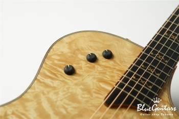 Custom T5 Quilted Maple ’18