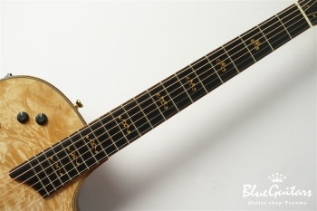 Custom T5 Quilted Maple ’18