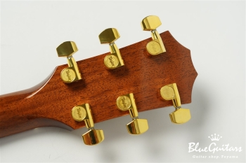 Custom T5 Quilted Maple ’18