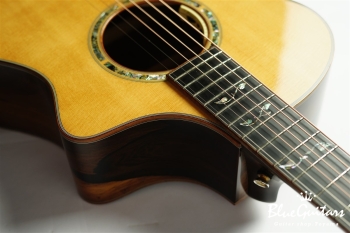 Masterclass Concert Exclusive Brazilian Rosewood / Sitka Spruce
