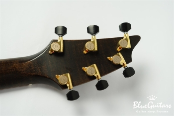 Masterclass Concert Exclusive Brazilian Rosewood / Sitka Spruce