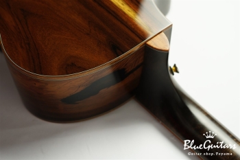 Masterclass Concert Exclusive Brazilian Rosewood / Sitka Spruce