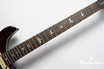  SE Custom 24 - Black Gold Burst