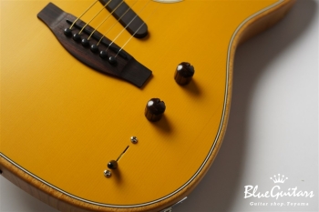 Acoustasonic Player Telecaster - Butterscotch Blonde