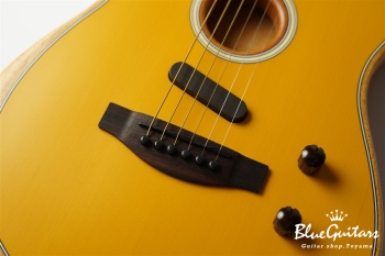 Acoustasonic Player Telecaster - Butterscotch Blonde