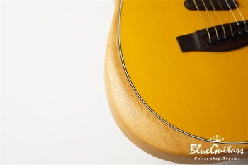Acoustasonic Player Telecaster - Butterscotch Blonde