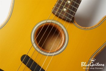 Acoustasonic Player Telecaster - Butterscotch Blonde