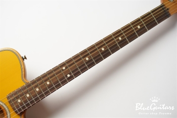 Acoustasonic Player Telecaster - Butterscotch Blonde