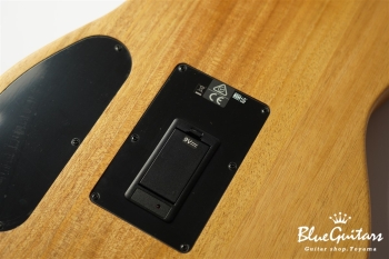 Acoustasonic Player Telecaster - Butterscotch Blonde