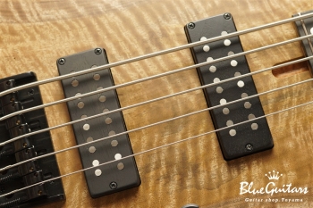 SHB5 CUSTOM Claro Walnut / Mahogany / Ebony F.B. Half. Matt.