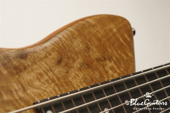 SHB5 CUSTOM Claro Walnut / Mahogany / Ebony F.B. Half. Matt.