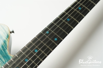 DS496E EM/AT/A-MAHO - Sapphire