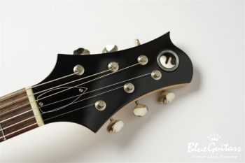 RRS Bravery-10 /Lightweight Ash body / Maple 1p neck - 蝉時雨