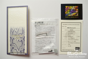 RRS Bravery-10 /Lightweight Ash body / Maple 1p neck - 蝉時雨