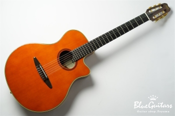 YAMAHA APX-10N | Blue Guitars Online Store