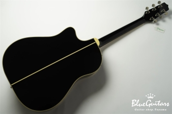 TDP861C - BL (gloss)