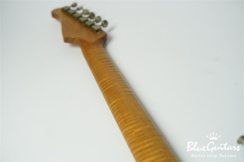 XSC-2 - Sonic Blue / Heavy Aged / Alder / RM-RM #2614