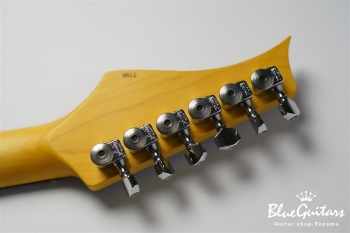 S Model / R-MH - Dolphin Gray Metallic