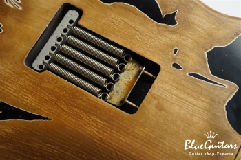 XSC-2 - Black / Super Heavy Aged / Alder / R / Roasted Flame Maple Neck #2611