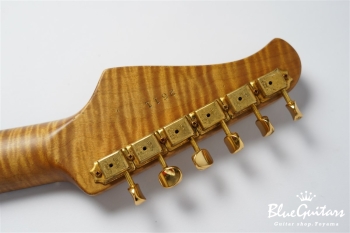 XSC-2 - Black / Super Heavy Aged / Alder / R / Roasted Flame Maple Neck #2611