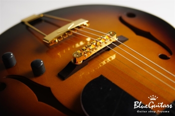 Ladybug SM-TBC - Vintage Sunburst #RZ0539