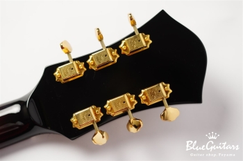 Ladybug SM-TBC - Vintage Sunburst #RZ0539