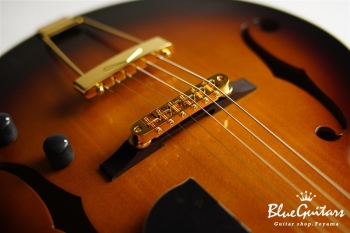 Ladybug SM-C HB - Vintage Sunburst #RZ0535