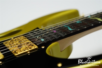 PIA3761 - Sun Dew Gold