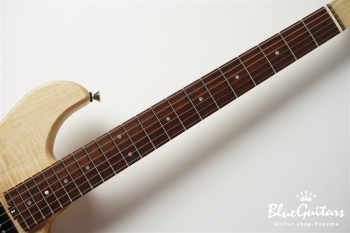 Amnis Novus -Hiroshi Shibasaki Specs-