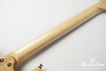 Amnis Novus -Hiroshi Shibasaki Specs-