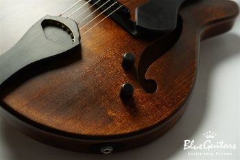 Arcus Thinbody Archtop - Organic Texture