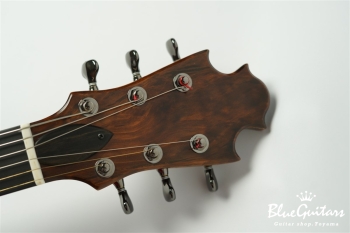 Arcus Thinbody Archtop - Organic Texture