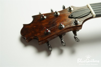 Arcus Thinbody Archtop - Organic Texture