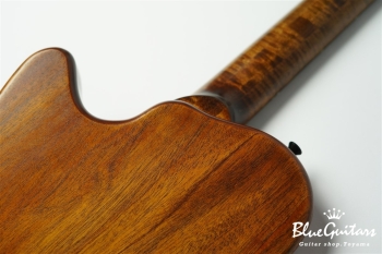 Arcus Thinbody Archtop - Organic Texture
