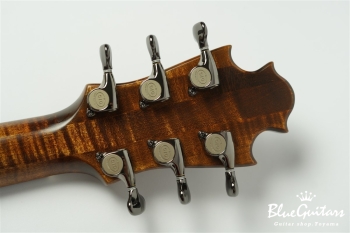 Arcus Thinbody Archtop - Organic Texture