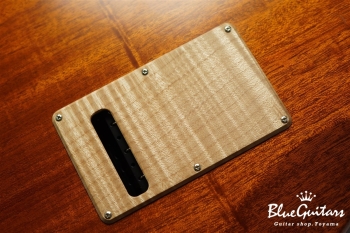 QUINTIC Rosewood Neck/Flame Maple Pickguard