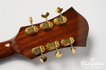 Ladybug Mahogany (P-90) - Brown #RZ0483