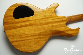 Amnis Stella - Burst