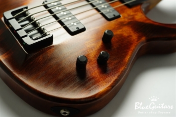 TEMPESTA 5st. Fretless - Organic Texture
